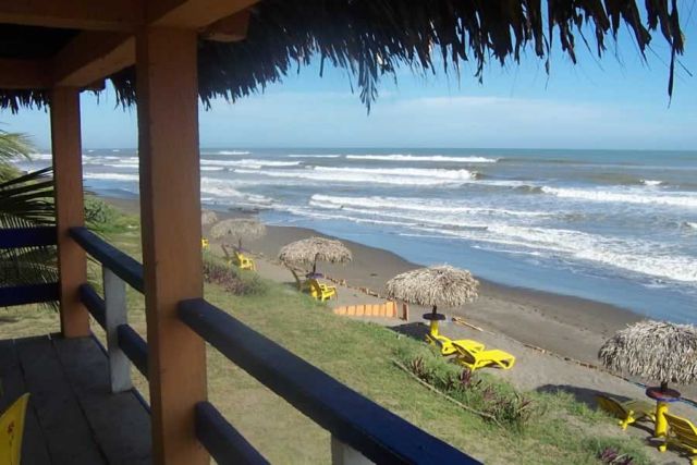 A serene beach with palm trees and ocean views.