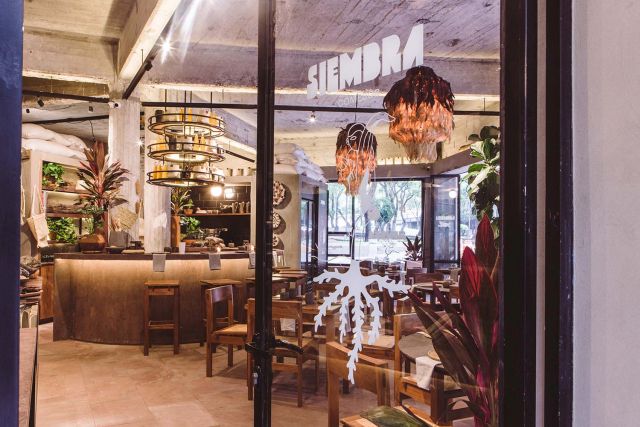 Interior view of Siembra Comedor with modern rustic décor, featuring wooden tables, artistic lighting fixtures, and a variety of plants.