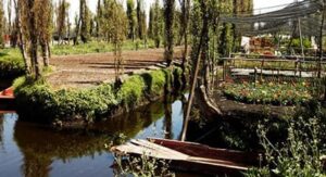 xochimilco-3