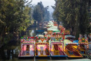 xochimilco-4